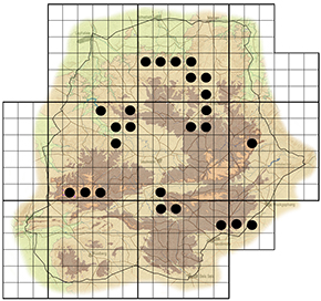 Ochna natalitia Waterberg distribution